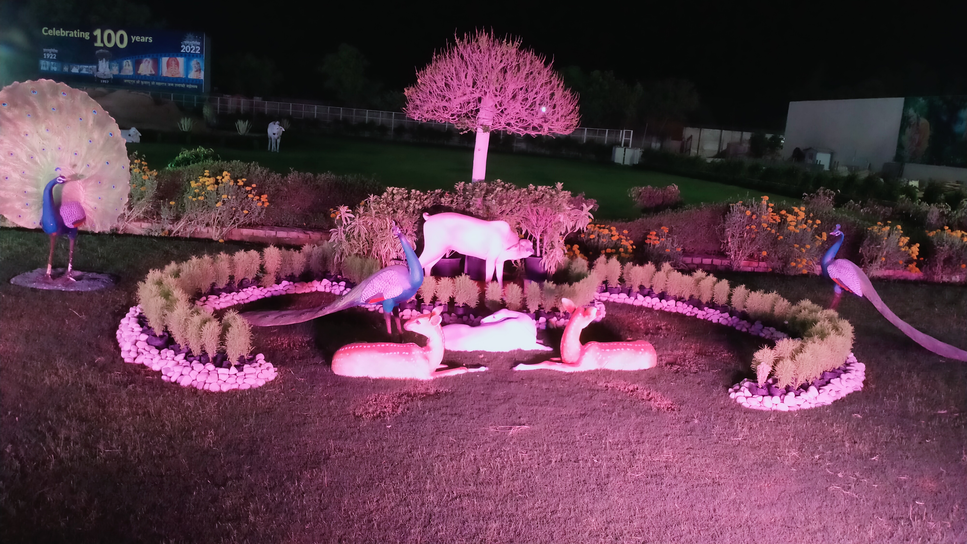 Manuzenie feature image4